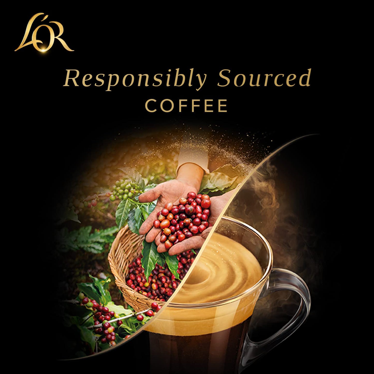 L'OR Espresso Capsules, 30 Count Variety Pack Vanilla/Chocolate/Caramel - Best Coffee and Brew