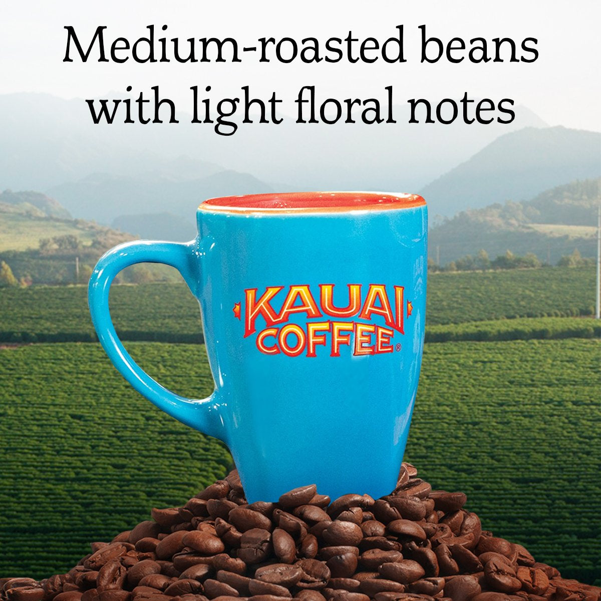 Kauai Hawaiian Ground Coffee, Koloa Estate Medium Roast (10 Ounce) - Gourmet Arabica Coffee from Hawaii'S Largest Coffee Grower, Bold, Rich Blend - Best Coffee and Brew